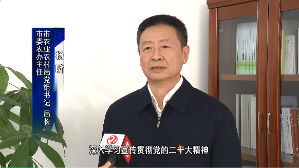 【貫徹二十大盤(pán)錦在行動(dòng)】專(zhuān)訪(fǎng)市委農(nóng)辦主任，市農(nóng)業(yè)農(nóng)村局黨組書(shū)記、局長(zhǎng)楊昕
